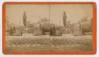 Pictures show gardeners watering shrubs with a hose in a huge, urban garden.