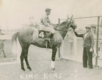 A photograph of a race horse standing in a grassy area surrounded by chain link fences. A jocke…