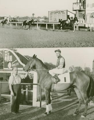 Two photographs from a horse racing track. The top one shows three horses galloping on a dirt t…