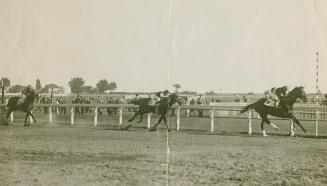 A photograph of a horse race in progress on a dirt track. Three horses can be seen; the one in …