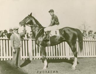 A photograph of a horse standing in a grassy area, with a fence behind the horse and spectators…