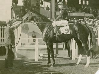 A photograph of a race horse standing in a grassy area within a racing track. A jockey is seate…