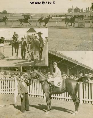 Three photographs of a horse racing track. The top photo shows four horses galloping on a dirt …