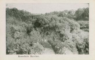 A photograph of a ravine, with a bridge crossing over a wooded area with walking paths. There i…