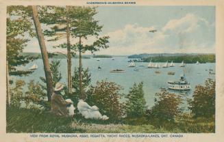 Two woman sitting sitting on the grass watch as sail boats and a steamship pass by on a large l…