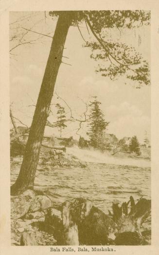 Sepia toned photograph of water flowing over a waterfall into a lake with a large tree in the f…