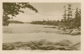 Black and white picture of a river surrounded by a rock shore and trees.