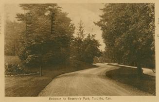 Black and white photograph of a dirt road and wooden board walk in a wooded area.