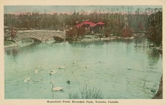 A group of swans in ware with a stone bridge spanning it.