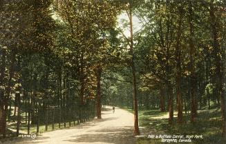 A person on a bicycle rides through a heavily wooded area.