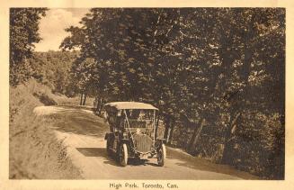 Sepia toned picture of a car on a road inside a wooded area.