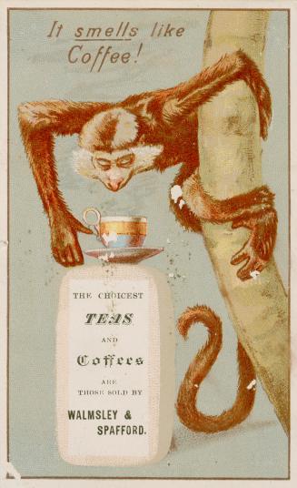 Colour trade card advertisement depicting an illustration of a monkey looking at a cup of coffe…