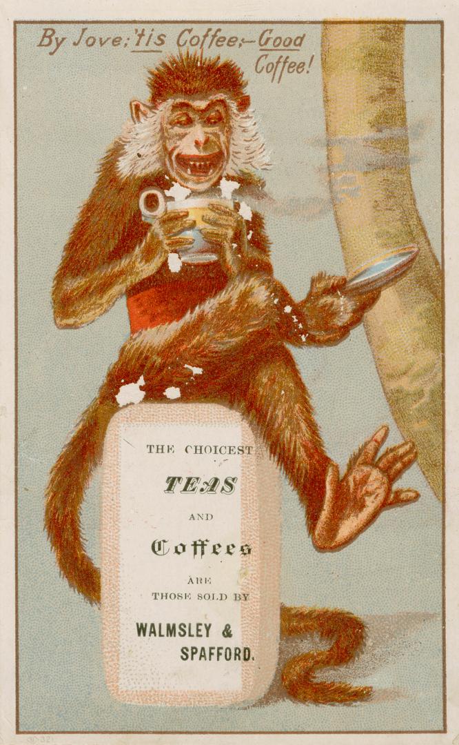 Colour trade card advertisement depicting an illustration of a monkey holding a cup of coffee. …