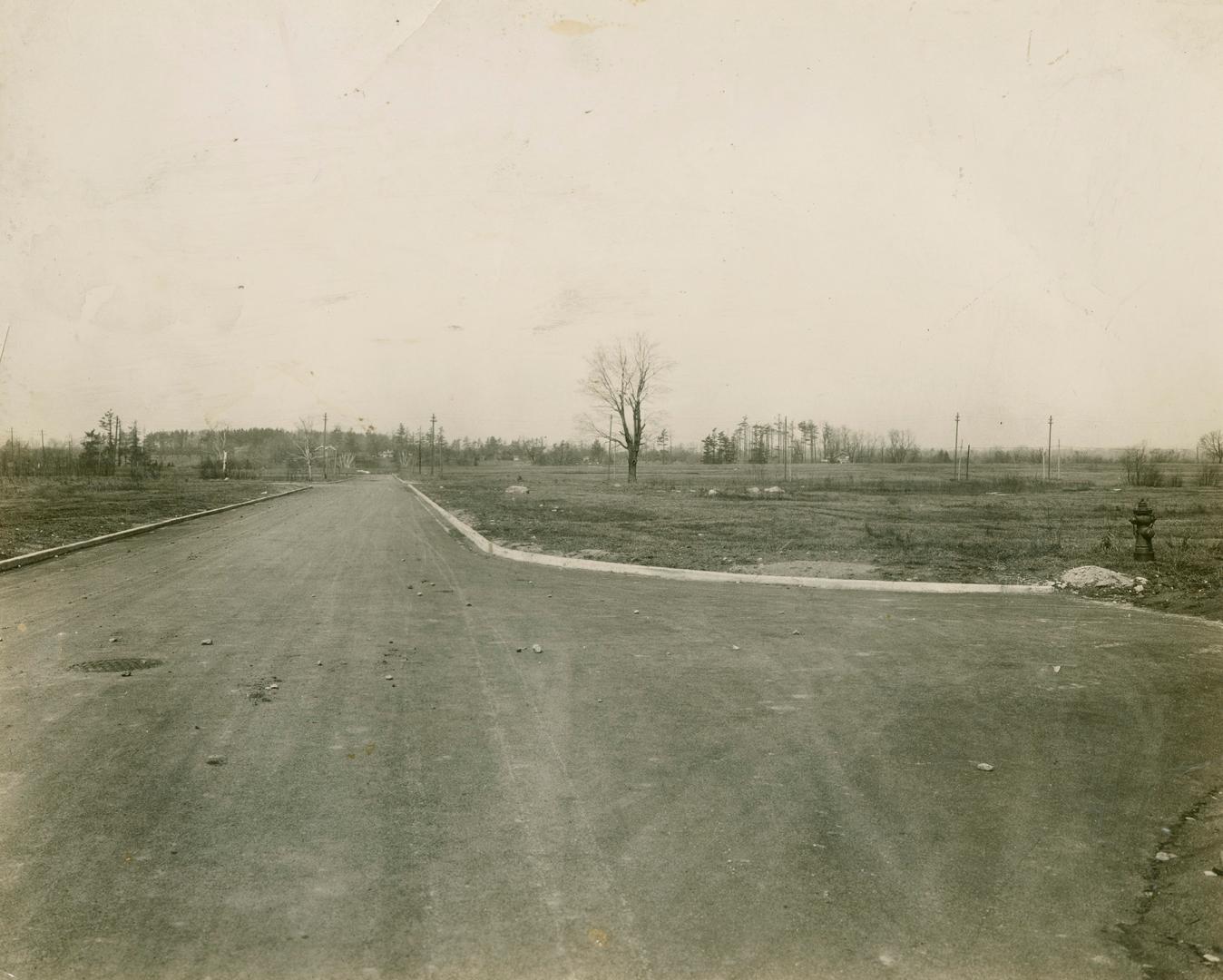 A photograph of a semi-rural area, with a curbed dirt road, electrical poles and wires, and a f…