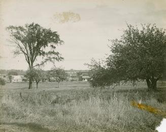 A photograph with a neighbourhood in the background, behind some trees and a grassy meadow area…