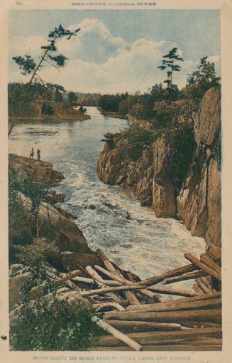 A river with rushing rapids cuts through rocky terrain. Logs in the foreground.