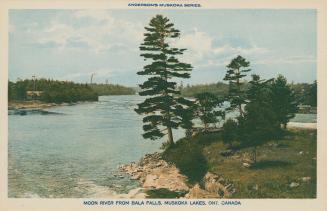 Trees and rocks in front of a wide river in the wilderness.