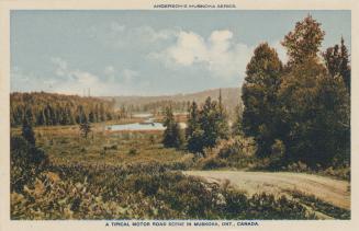 A dirt road running through wetlands.