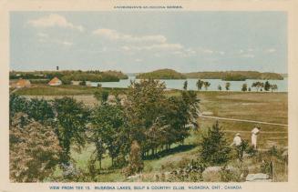 People playing golf on a course beside a lake.