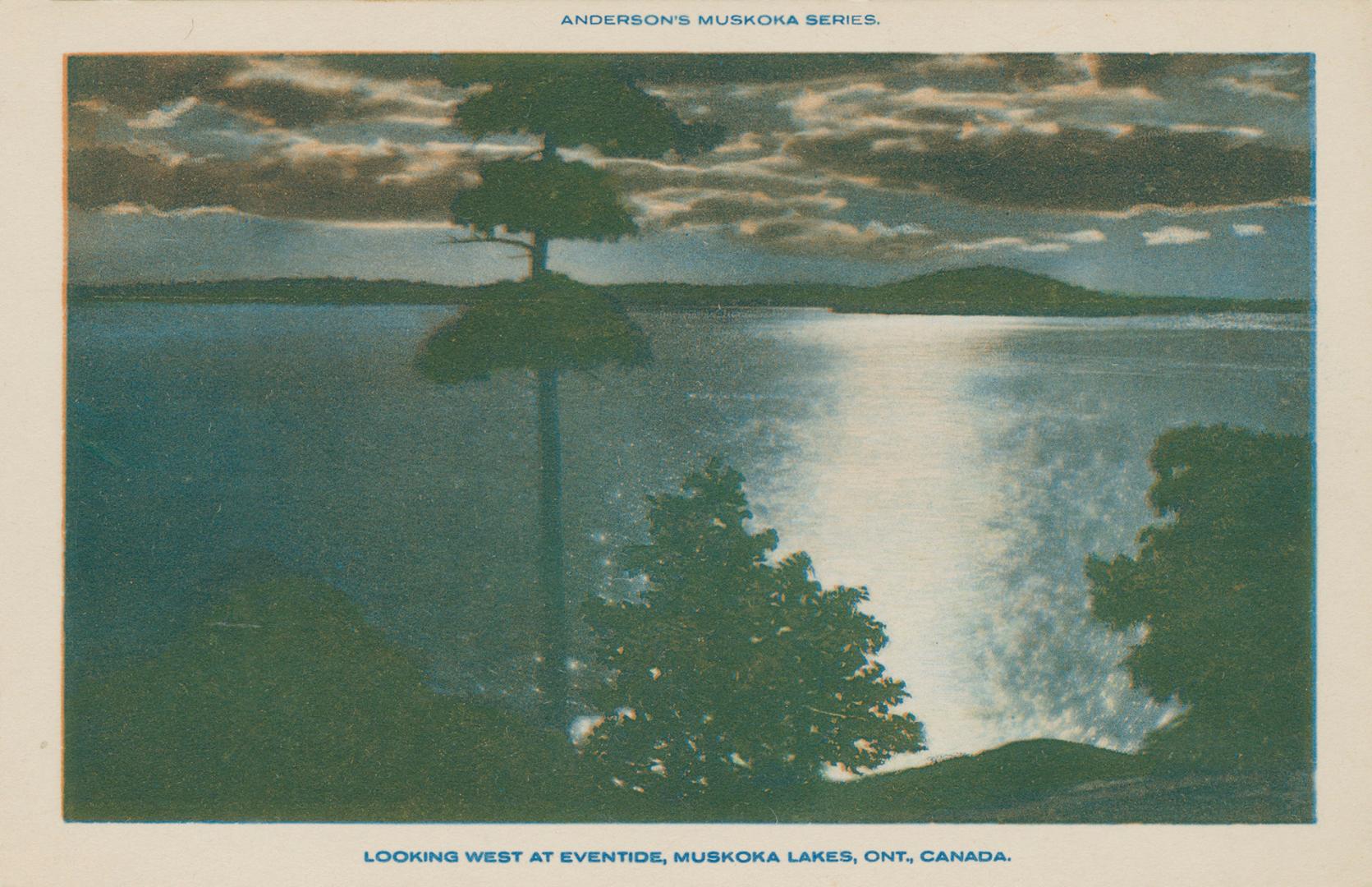 Shows trees in front of a lake at night time.