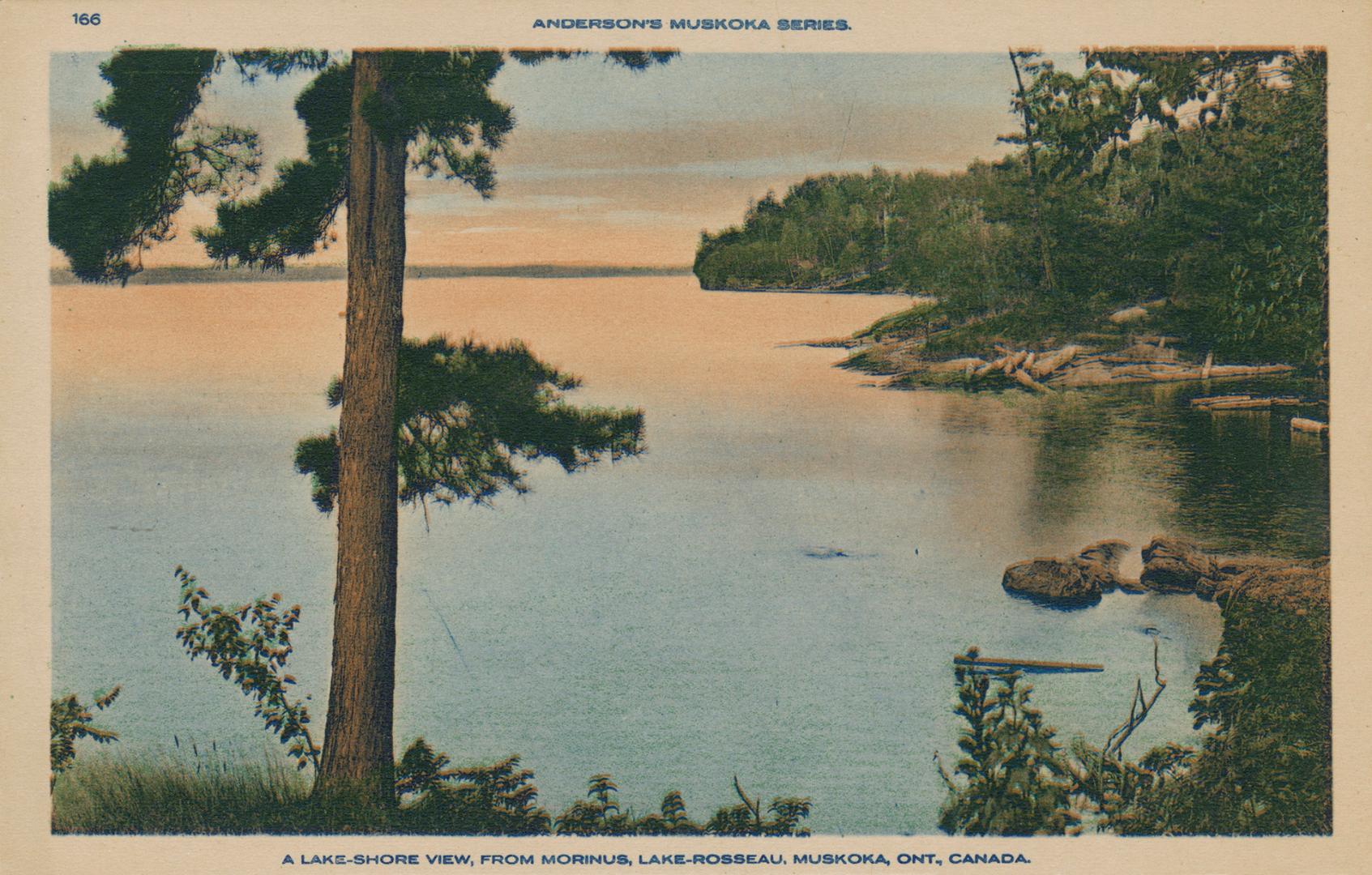 Shows trees in front of a lake at sunset.