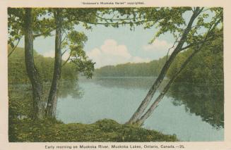 Shows trees in front of a lake at sunrise.