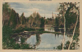 A river in the wilderness.