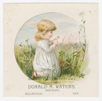 Colour trade card advertisement depicting an illustration of a girl looking at a white daisy. C…