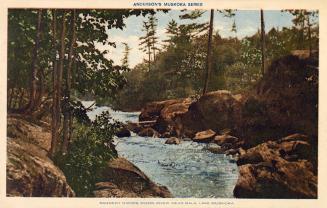 A river running through rocks with trees on either side.