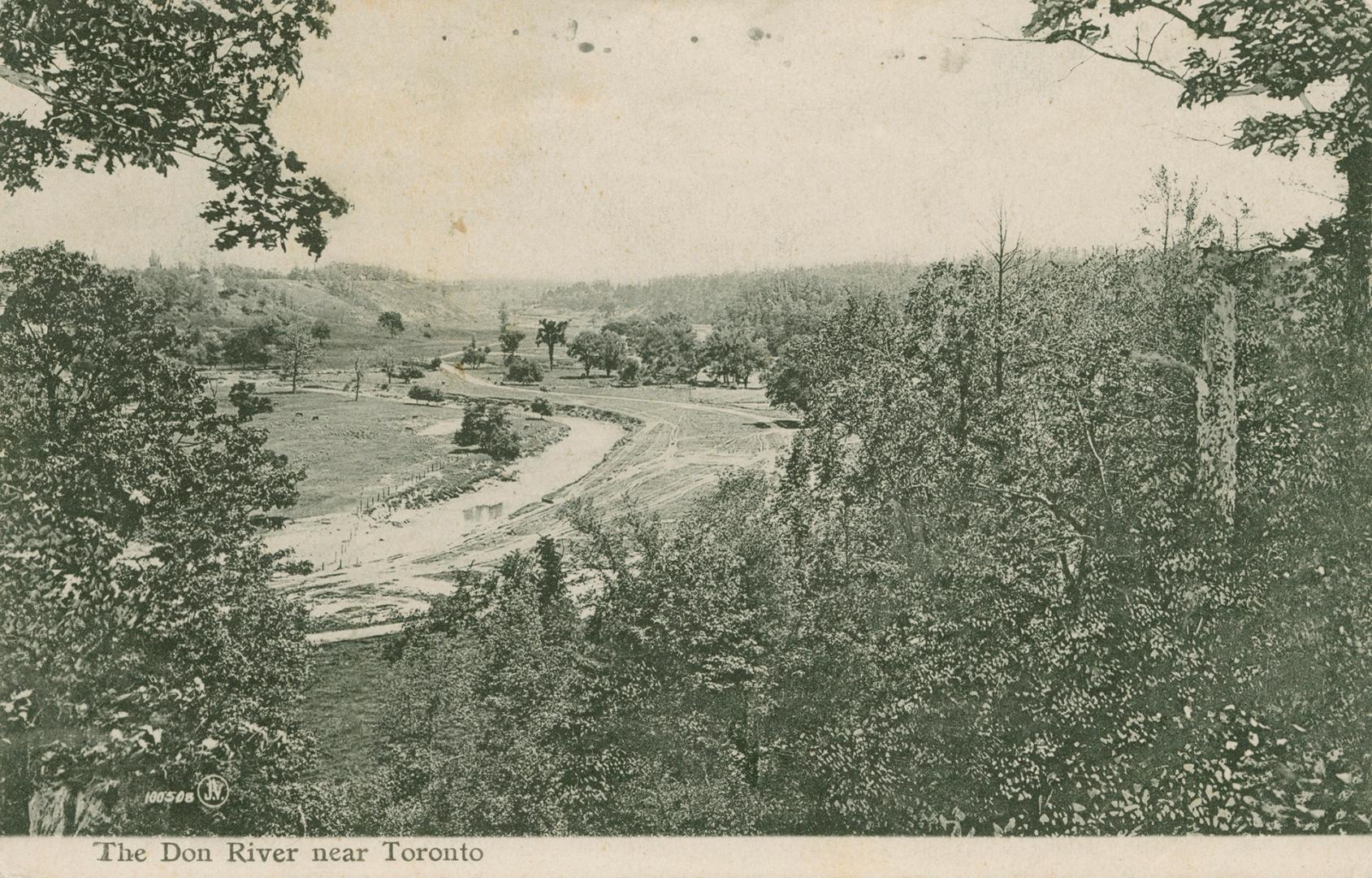 The Don River near Toronto