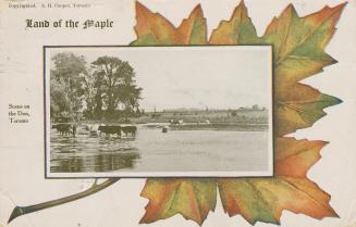 Black and white photograph of a river with cows standing in it superimposed on top of colorized…