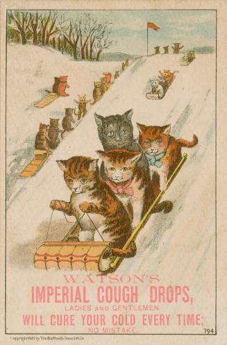 Colour trade card advertisement depicting an illustration of cats toboganning. The caption at t…