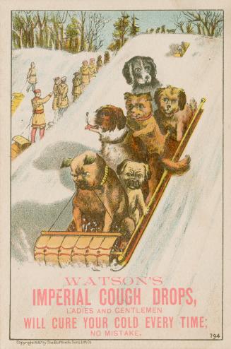 Colour trade card advertisement depicting an illustration of dogs toboganning. The caption at t…