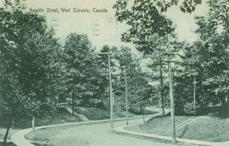 Picture of a winding street with trees on both sides. 