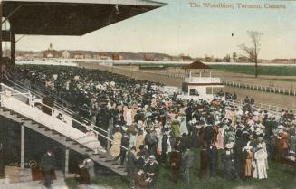 Picture of a racetrack and large grandstand. 