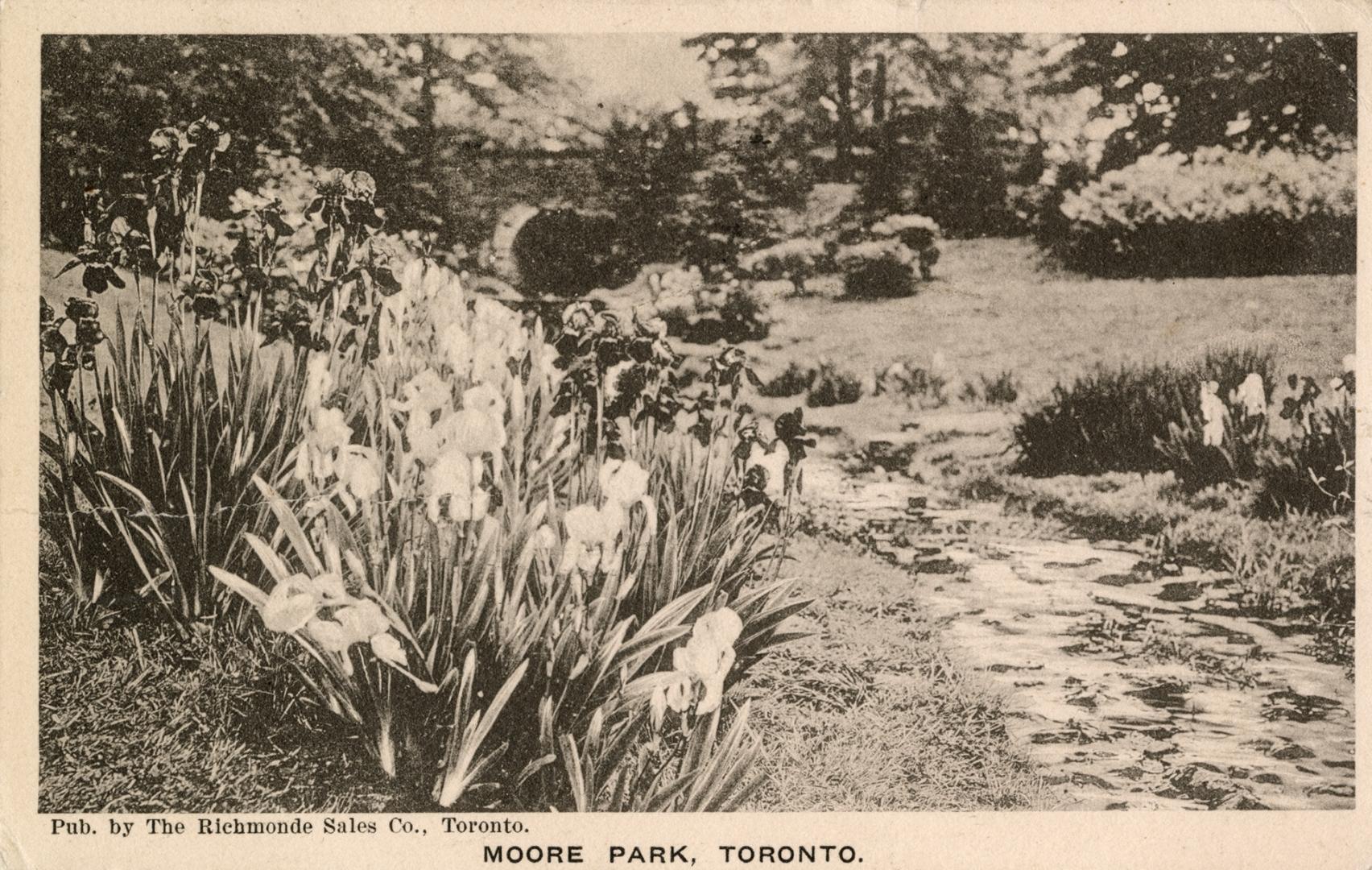 Black and white postcard of a park with flowers. The caption on the bottom front states, "Moore…