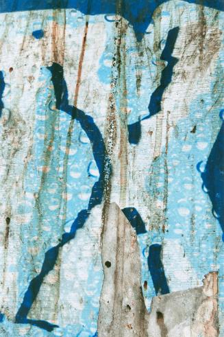 A close-up photograph of a surface covered in posters and graffiti. Portions of posters, some o ...