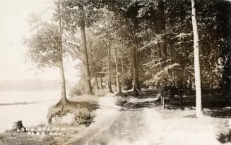 Sepia-toned photo postcard depicting a pathway through a forest alongside a shoreline and small…