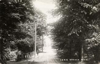 Black and white photo postcard depicting a bridge passing through dense trees with a man walkin…