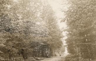 Sepia-toned photo postcard depicting a pathway through a forest. The caption at the bottom stat…