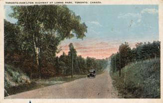 Colour postcard depicting a rural road running through trees and countryside. The caption at th…