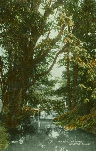 Black and white photograph of a tree lined street with large homes on wither side. Street car o…