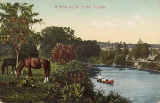 Colorized photograph of a man paddling a canoe on a narrow river. Two horses graze on the river…