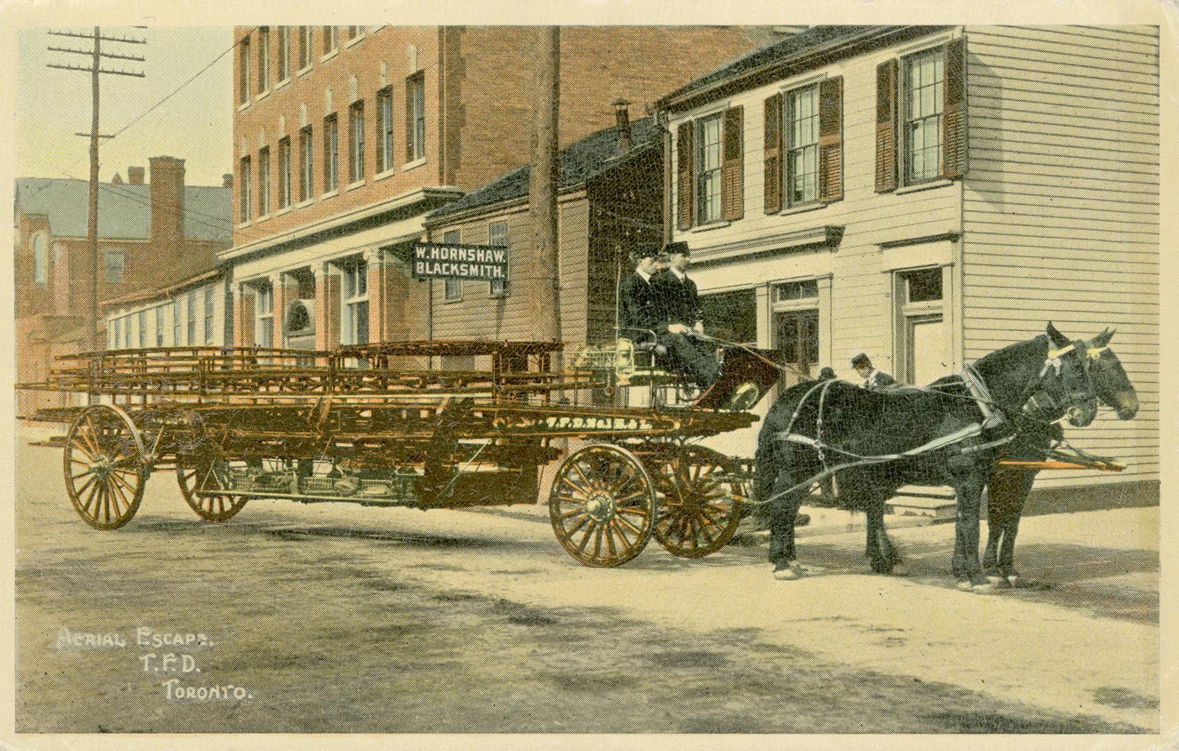 Colour postcard depicting a horse-drawn carriage with a hook and ladder of the Toronto Fire Dep…