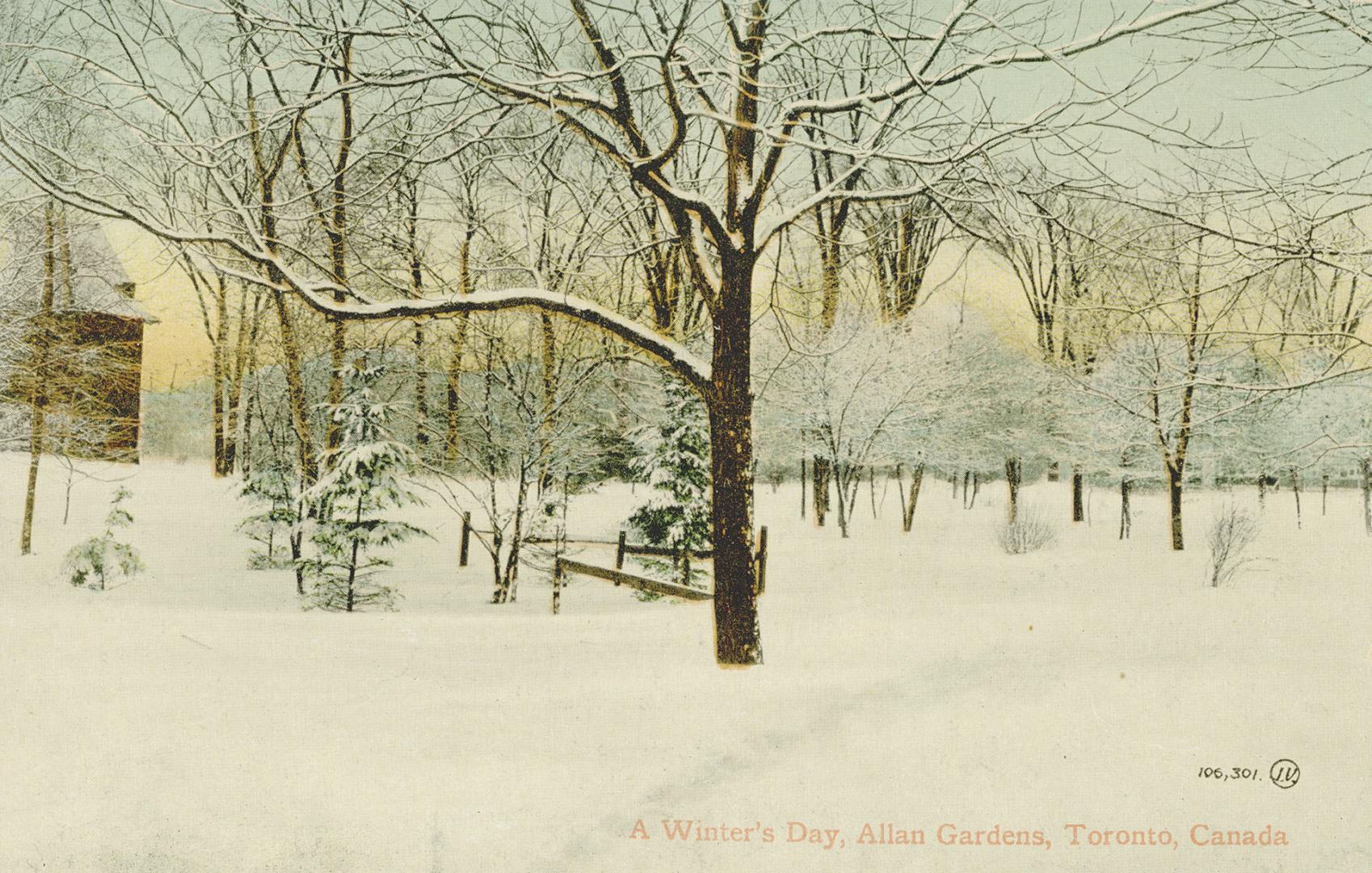 Colorized photograph of a snowy wooded area.