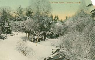 Colorized photograph of a snowy wooded area.