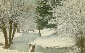 Colorized photograph of a snowy wooded area.