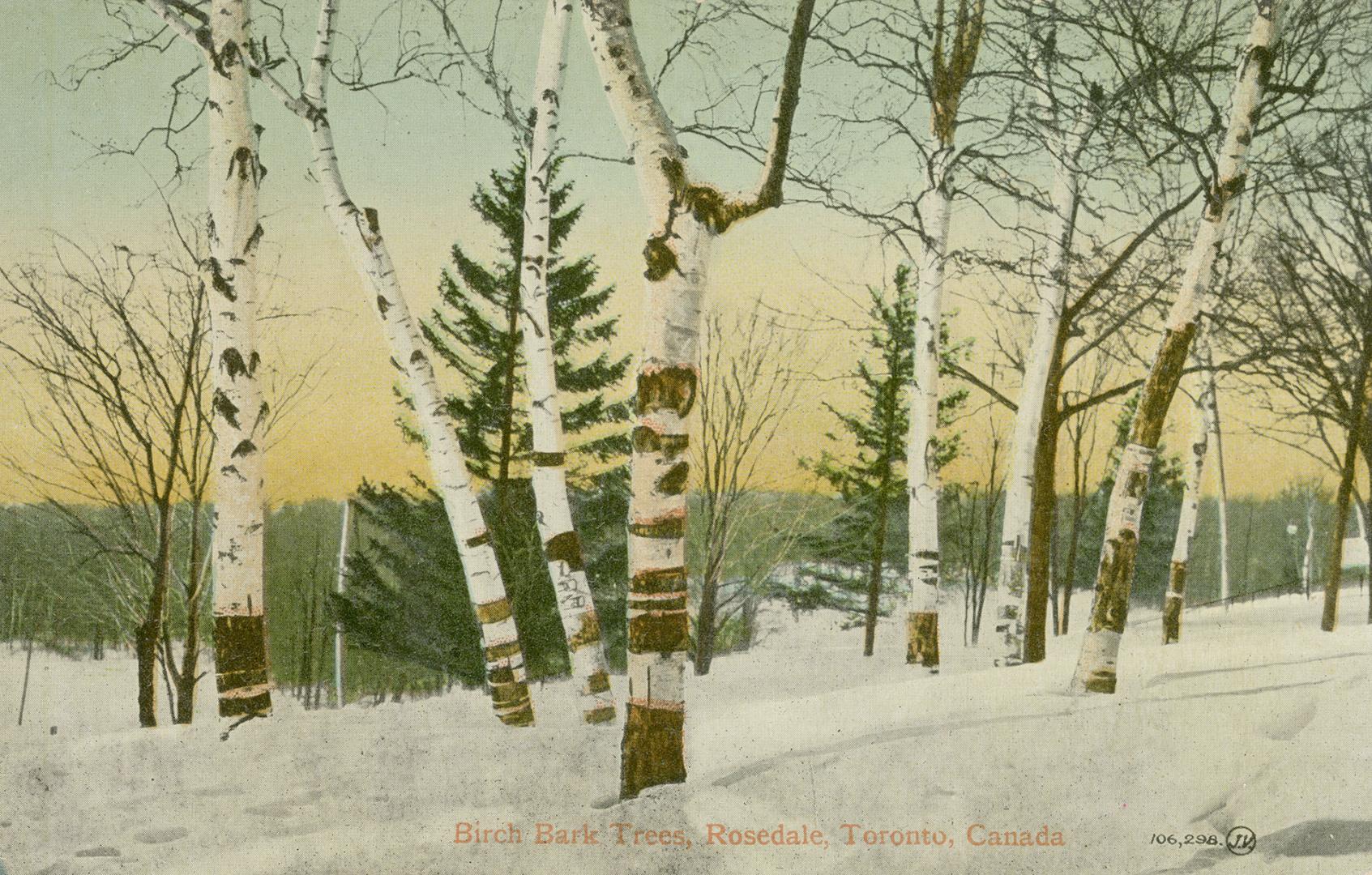 Colorized photograph of a snowy wooded area.