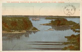  Colorized photograph of trees covering islands in the middle of a waterway. 