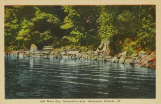 Colorized photograph of a rocky shoreline.